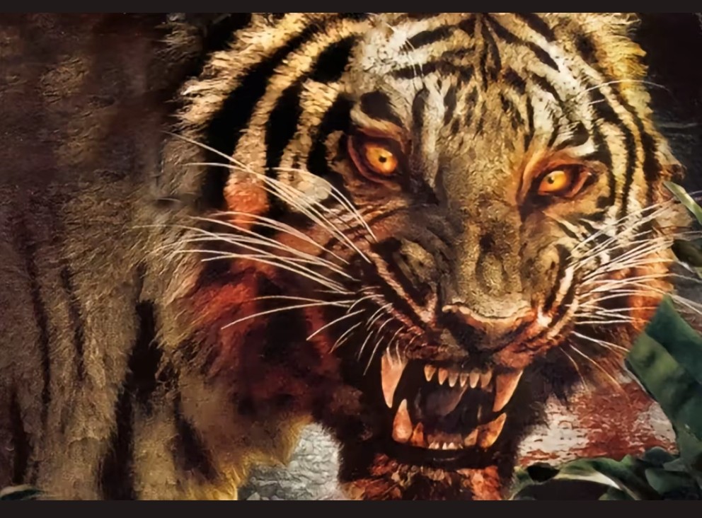 上辈子杀猪这辈子教书