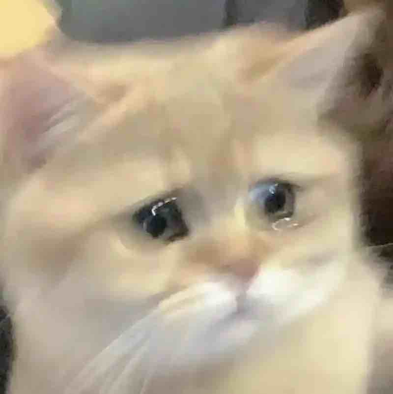 玩家1381069922422509568
