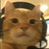 玩家1095748101554884608
