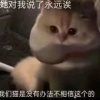我觉得该出货了
