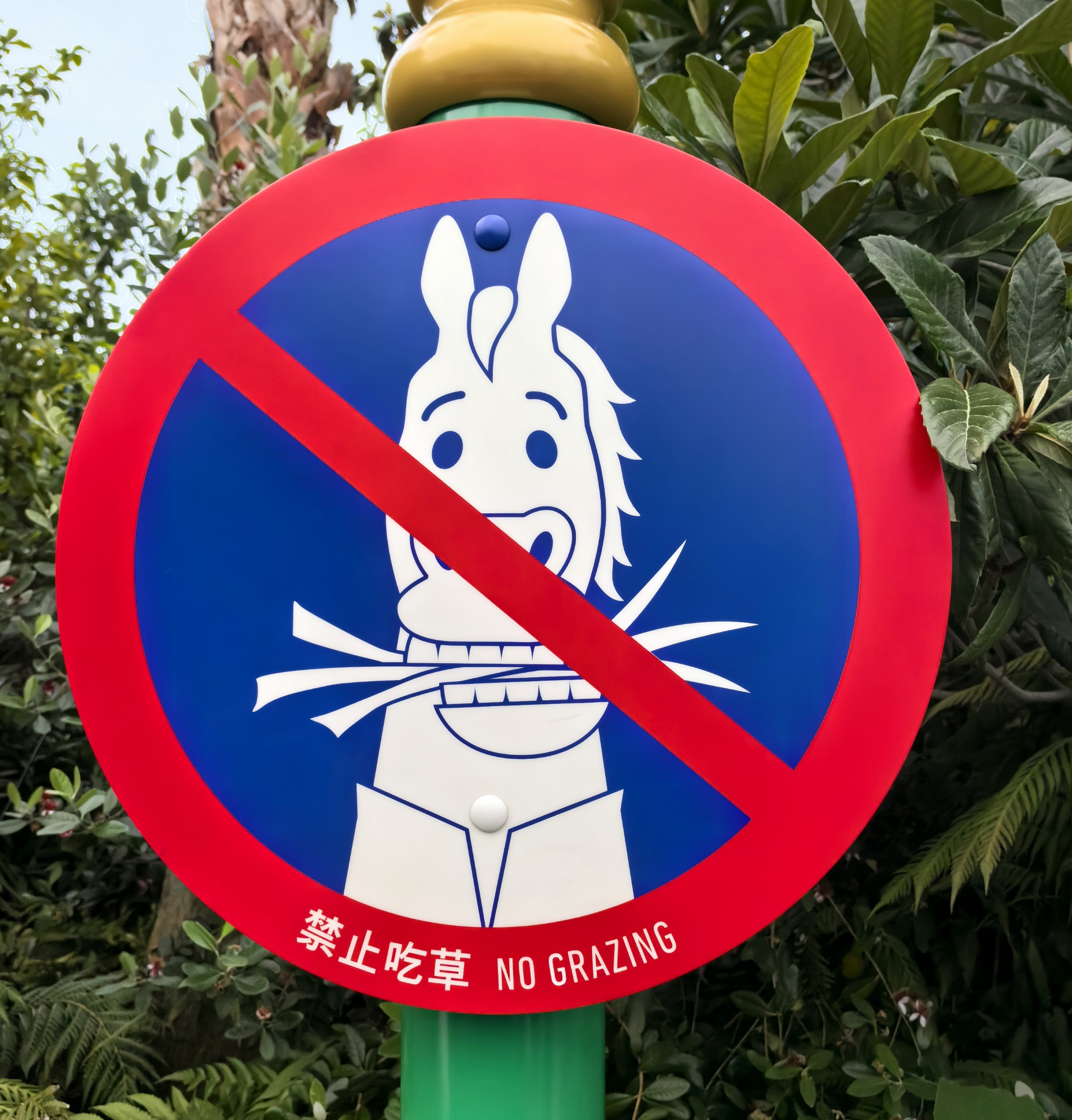 你不要过去啊你没他快