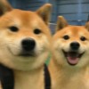 玩家952823773906251776