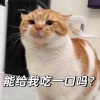 单走一张三
