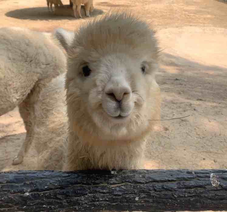 玩家1417680756871802880