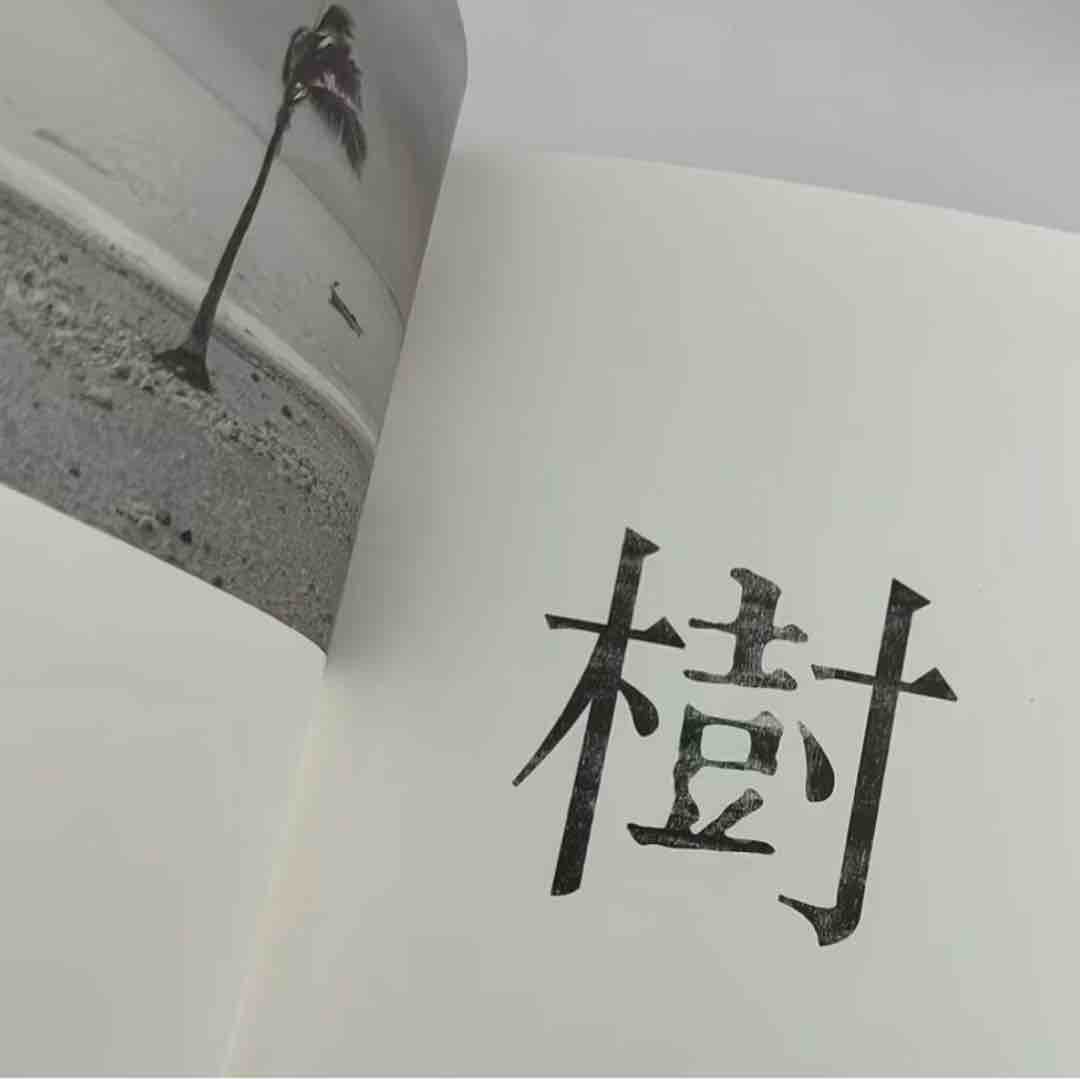 玩家1294199361858441216