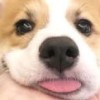 老板出金