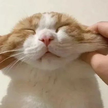 完美纯真少年