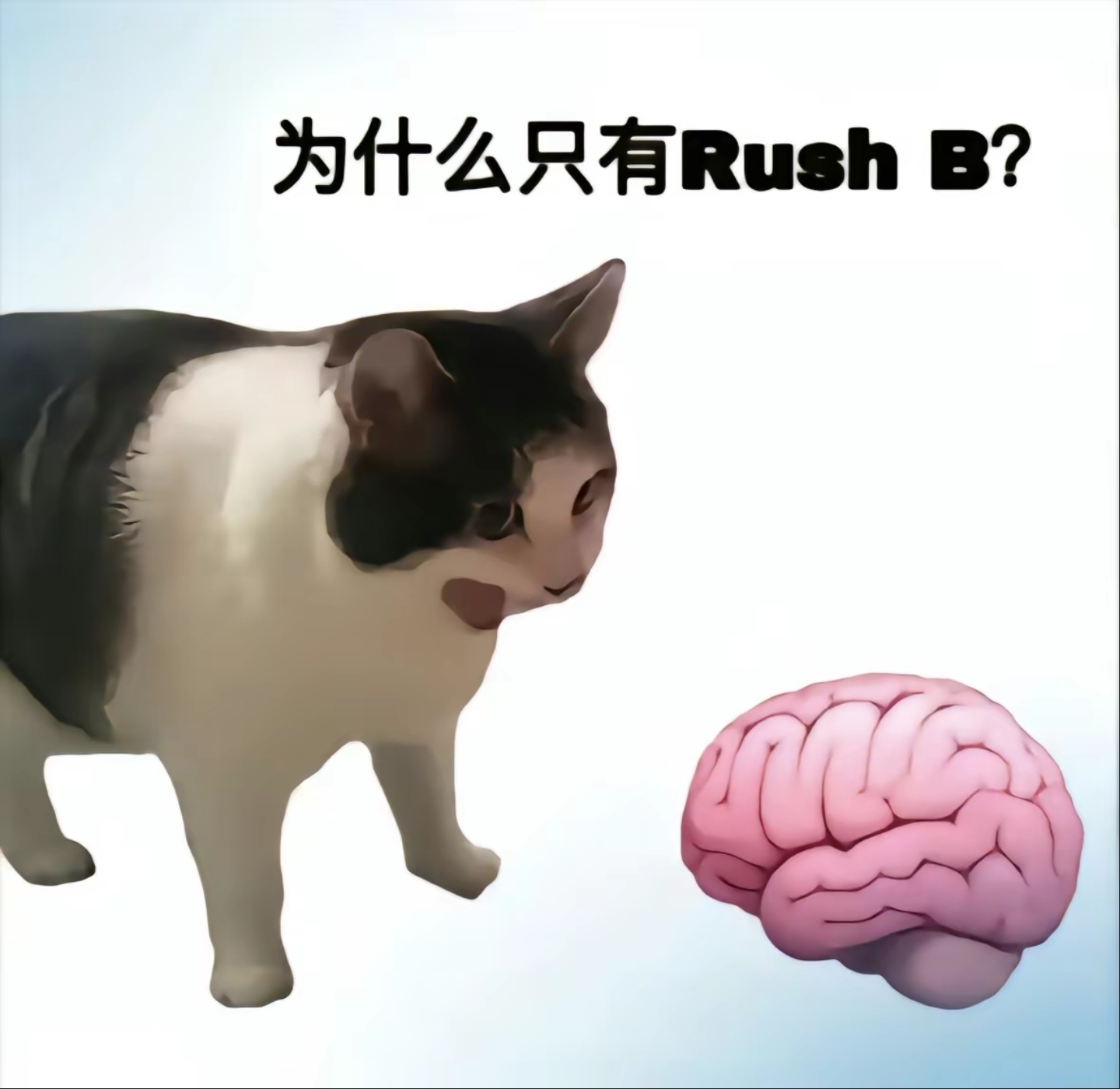 玩家1220269262819147776