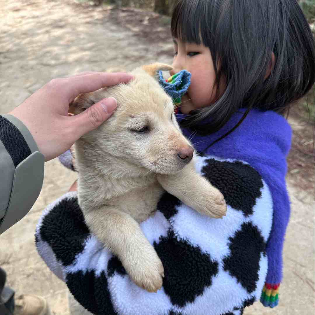 叔叔姨姨们俺秒发滴