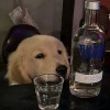 冬天下次见