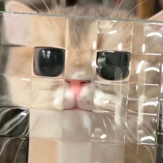 我的母语是无语