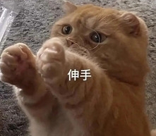 我儿子叫熊大