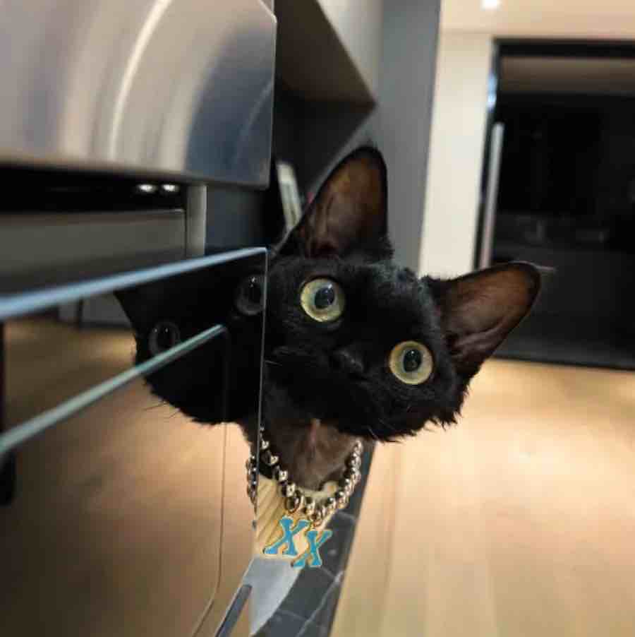 长租秒发谢谢老板