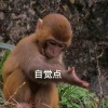仙女棒的快乐