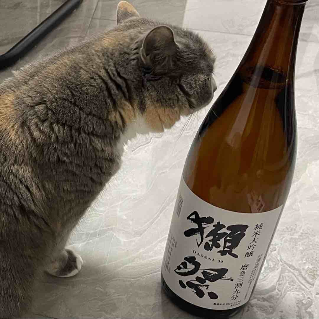 玩家1090005645898608640