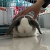 我的韭菜Go