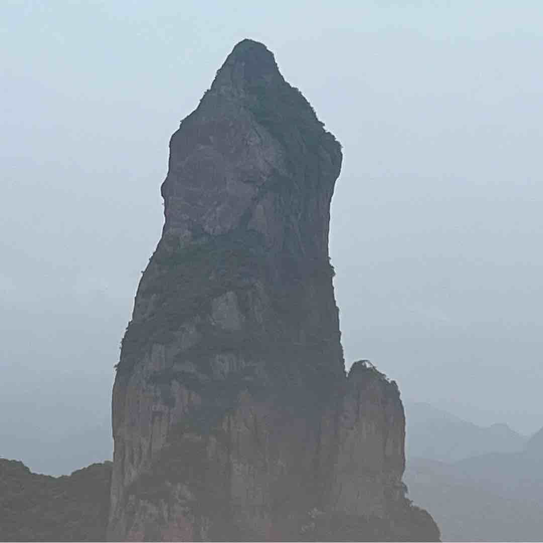 济宁何苟凯倾慕鲍比