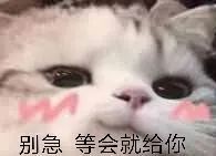 蔚河CCC
