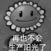 沐某人没有爱情