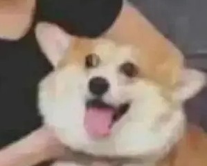宣言Cro