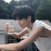 拂花晓看杨柳岸