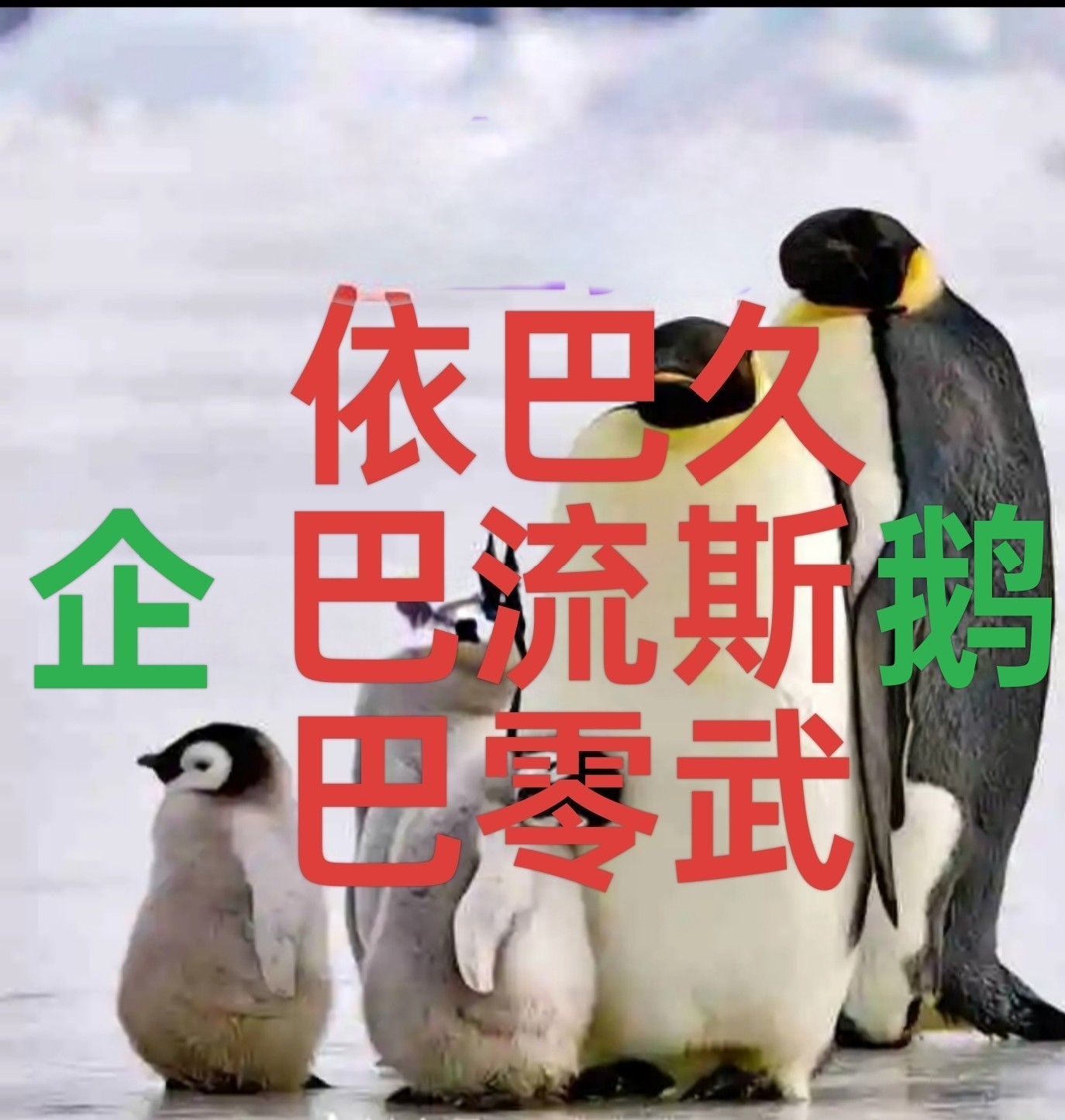 想便宜你懂得