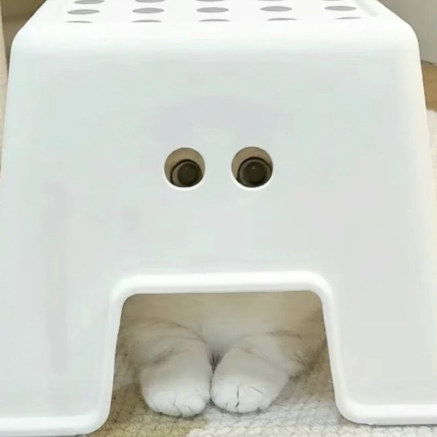 逃避每个黑夜