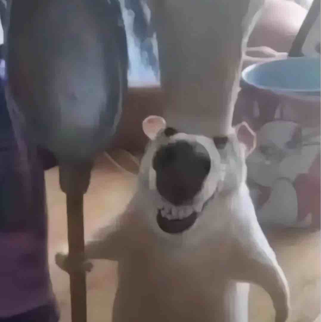 导勾亖啊