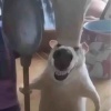导勾亖啊