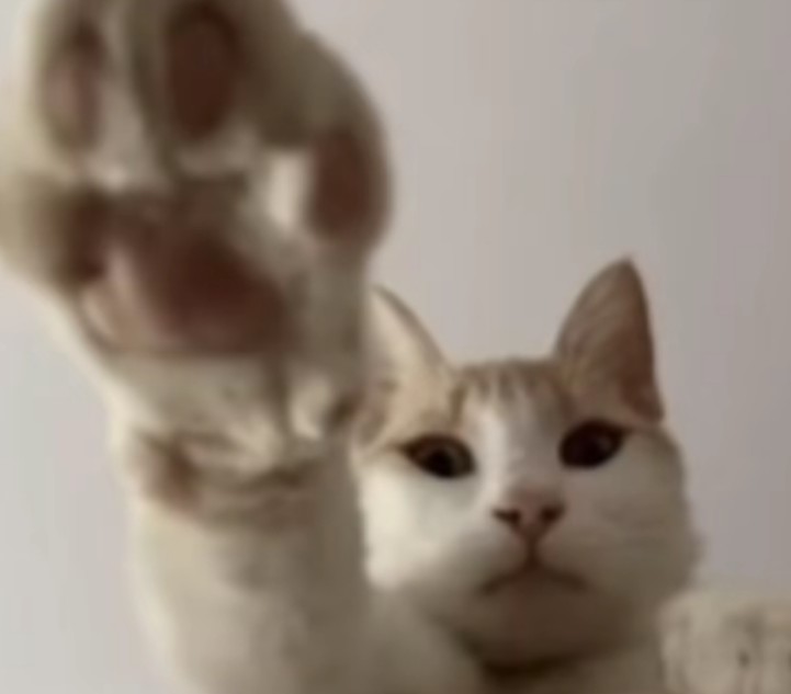 玩家1257693716800348160