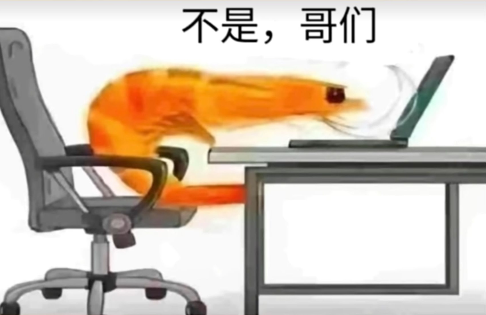 信玄学看我