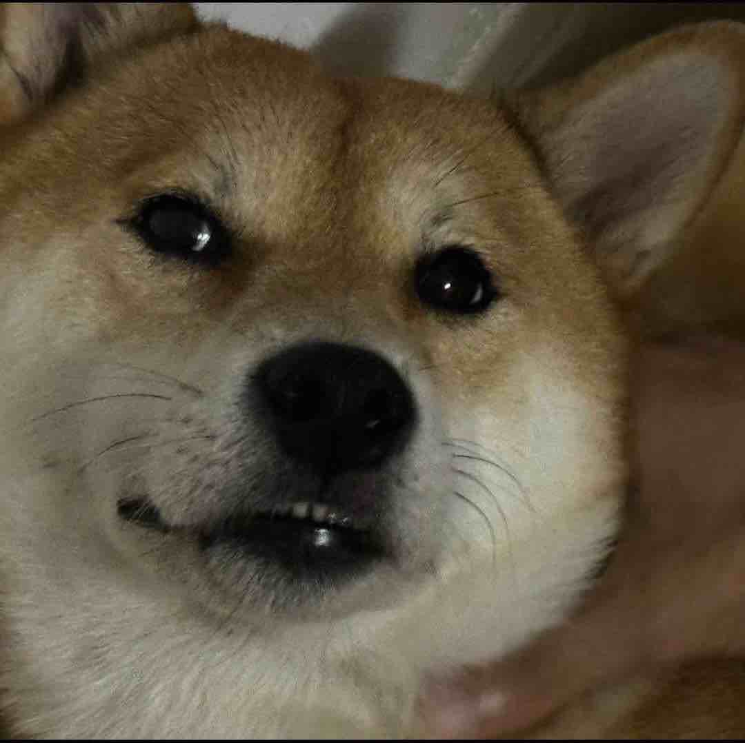 心都碎了..