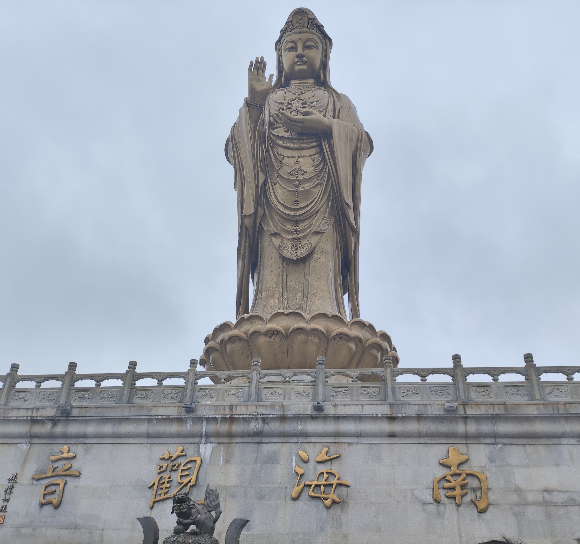 马牛b11