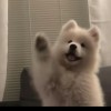 陪我看海