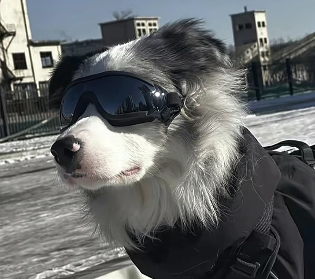 在下赛小息
