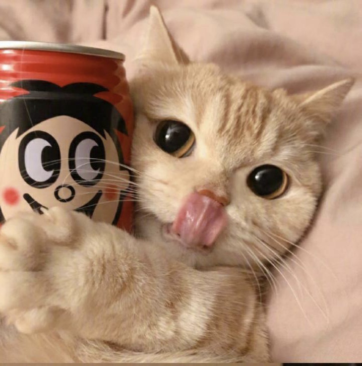 喝奶只喝纯牛奶