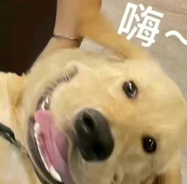 玩家1265578374652882944