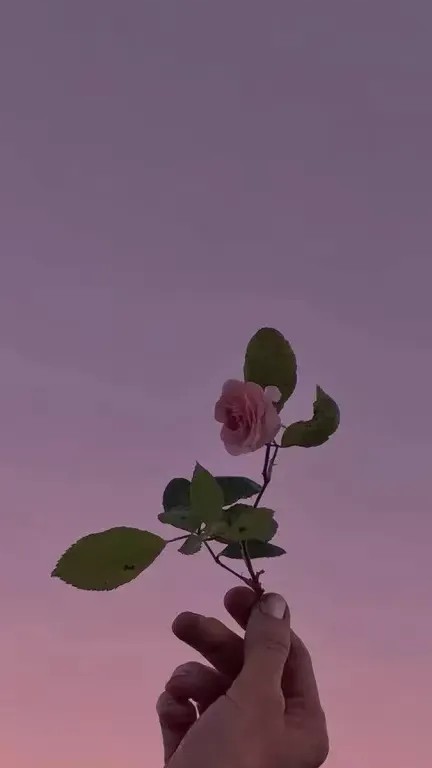 玩家1332528829009174528