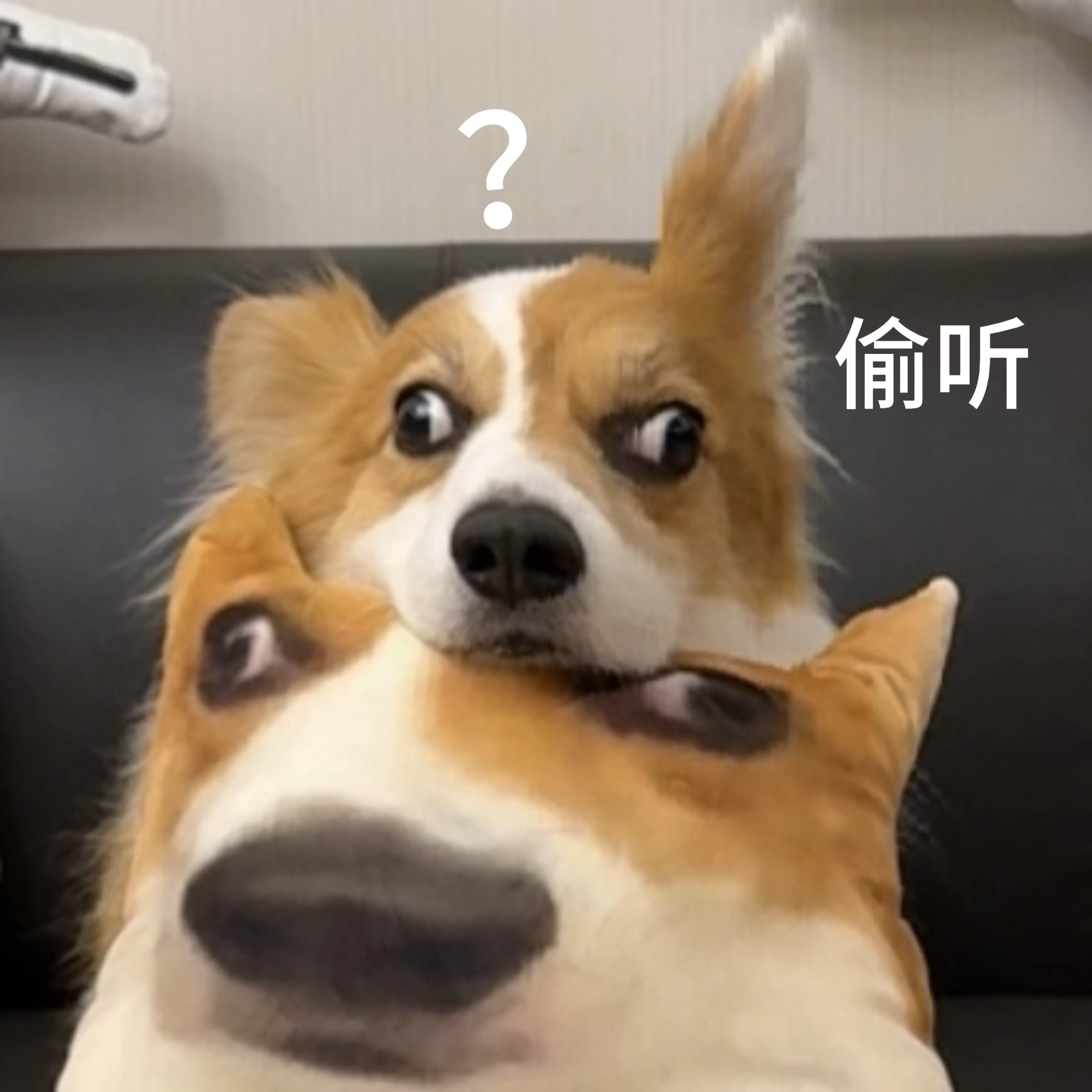 一般晚上发