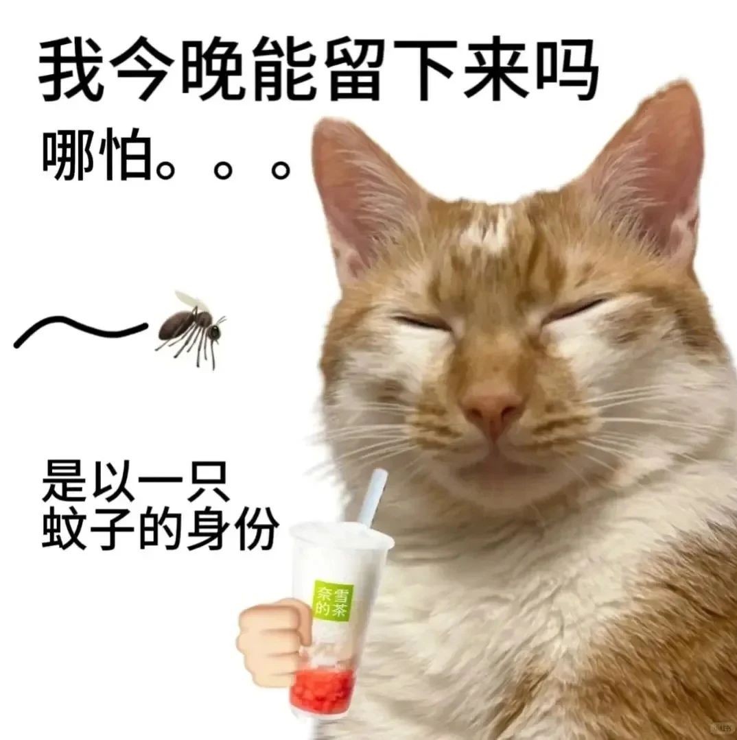 啊sir