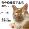啊sir
