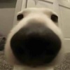 玩家1372039688336961536