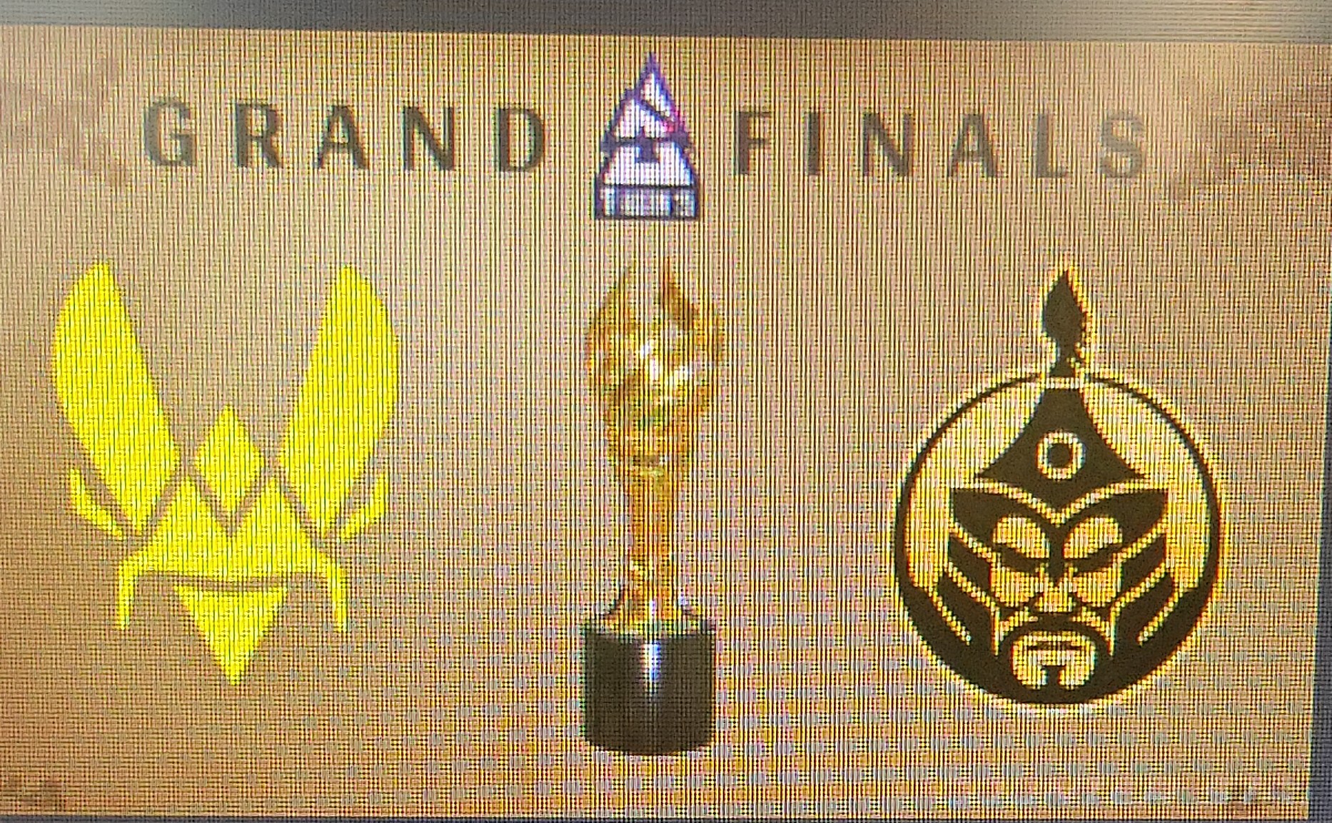 印第安老斑鸠秒出
