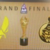 印第安老斑鸠秒出