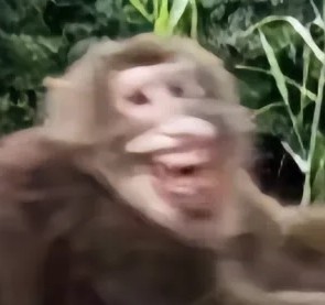 长腰山第一突破手杨明鸭