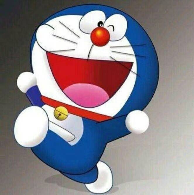 硕硕kingking