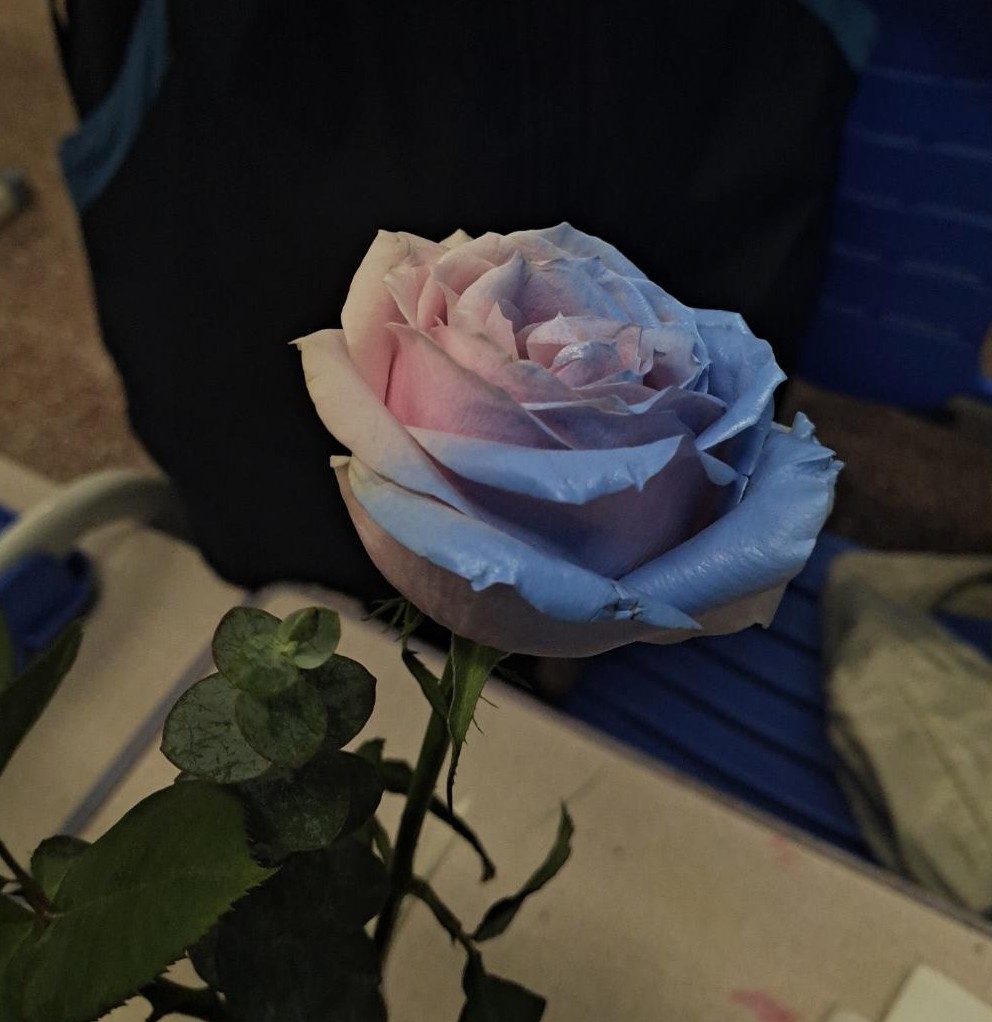 花仙梓吖