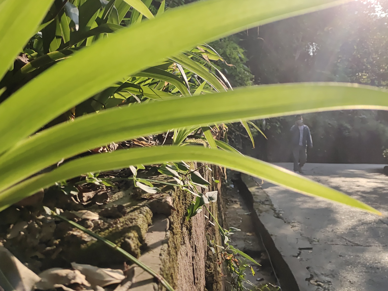 欢迎老板长租