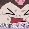 离宇未安