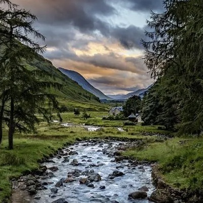 玩家1221756860536066048